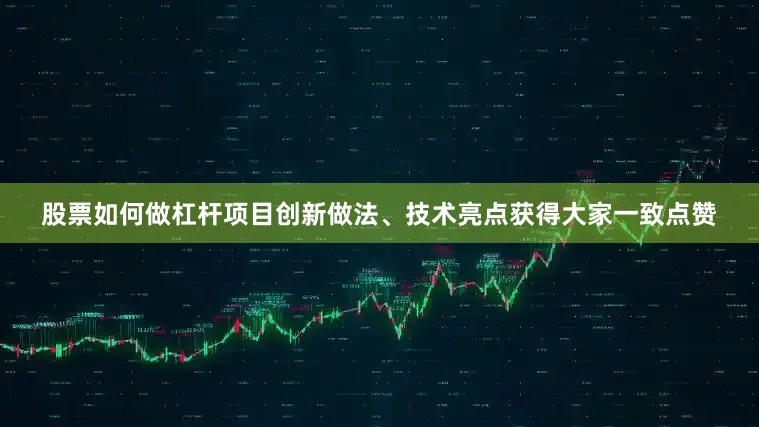 股票如何做杠杆项目创新做法、技术亮点获得大家一致点赞