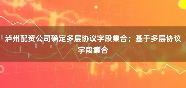 泸州配资公司确定多层协议字段集合；基于多层协议字段集合