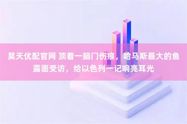 昊天优配官网 顶着一脑门伤痕，哈马斯最大的鱼露面受访，给以色列一记响亮耳光