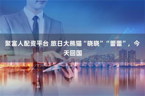 聚富人配资平台 旅日大熊猫“晓晓”“蕾蕾”，今天回国